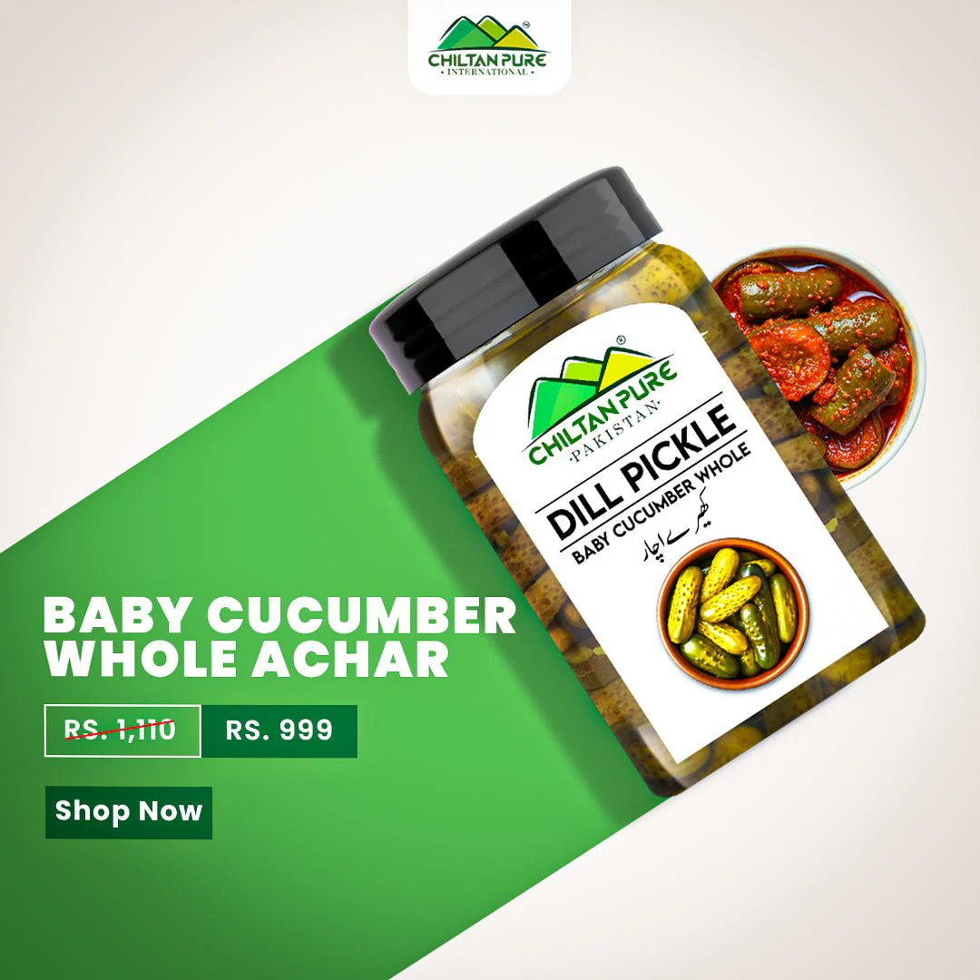 Gherkins / Dill Pickle ( کھیرے اچار ) / Baby Cucumber Pickle 🥒 in Vinegar - Image 2