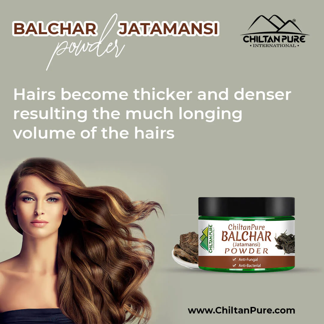 Balchar (Jatamansi) Powder – Stress Buster, Effective for Alopecia, Improves Learning & Memory Ability 50gm - Image 3