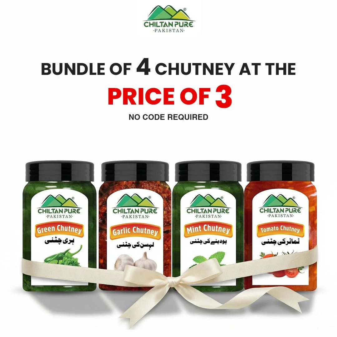 Bundle Of 4 Chutney At The Price Of 3 / Green Chutney / Garlic Chutney / Mint Chutney / Tomato Chutney