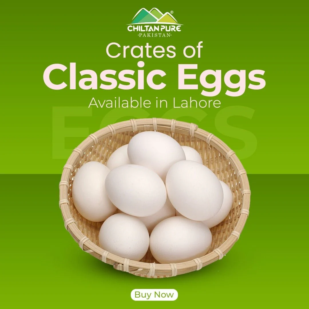Classic Eggs 1 Dozen (12eggs) - Image 2