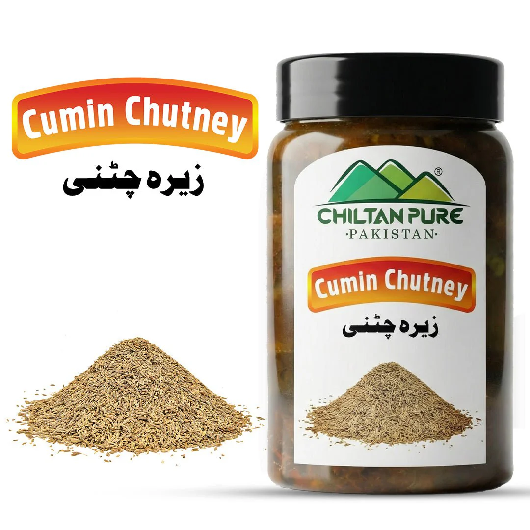Cumin Chutney (زیرہ چٹنی)  – Flavorful, Spicy & Aromatic Condiment Made with Fresh Jeera