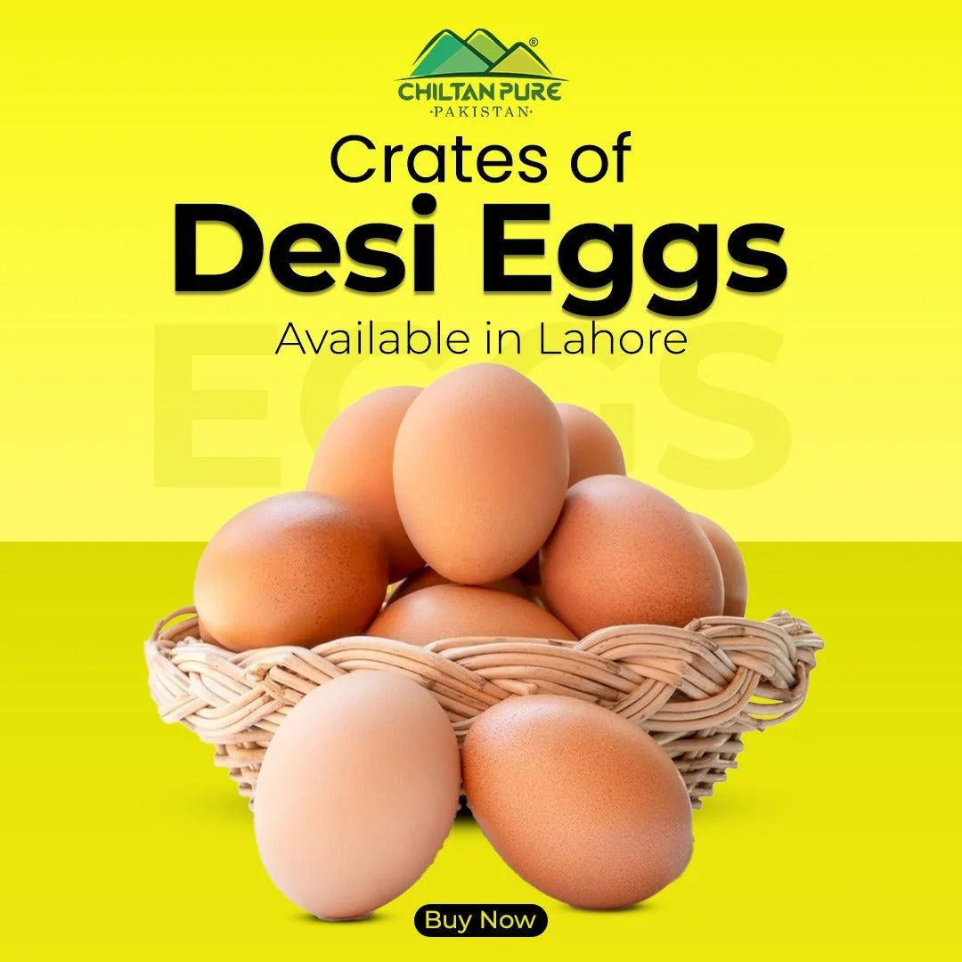 Desi Eggs / Free-Range Eggs / Organic / 1 Dozen (12egg) - Image 2