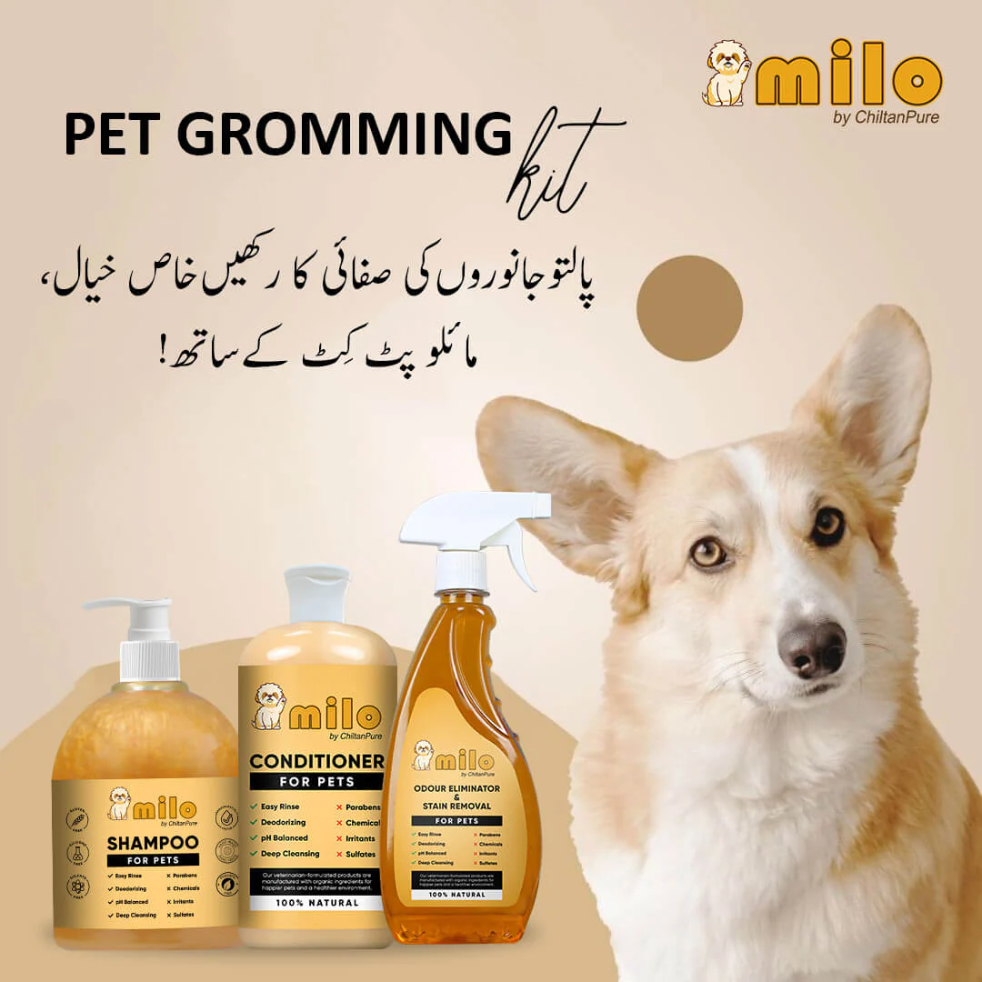 Milo Pet Care Kit – Pet Conditioner, Pet Shampoo, Pet Odour Eliminator & Stain Removal - Image 4