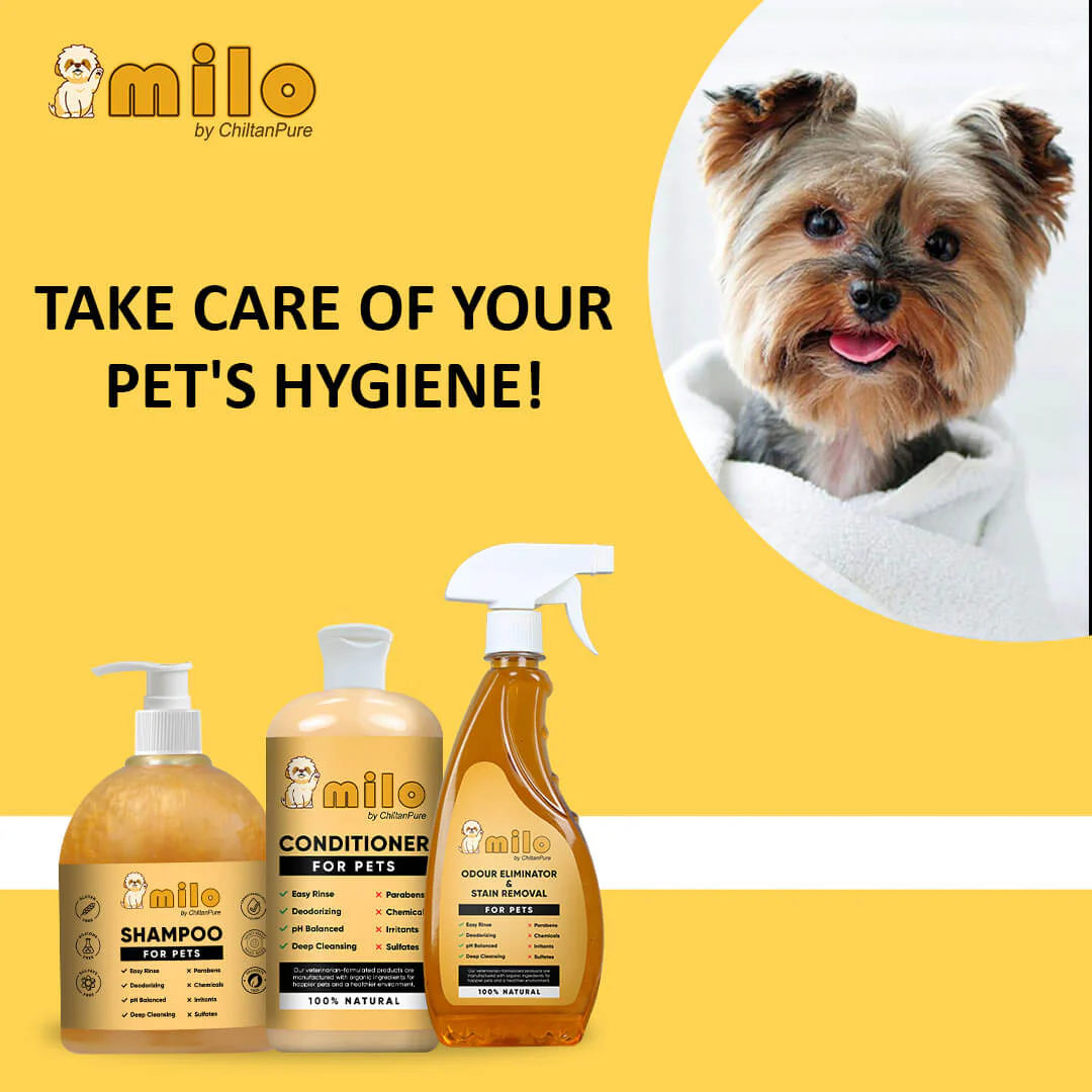 Milo Pet Care Kit – Pet Conditioner, Pet Shampoo, Pet Odour Eliminator & Stain Removal - Image 5