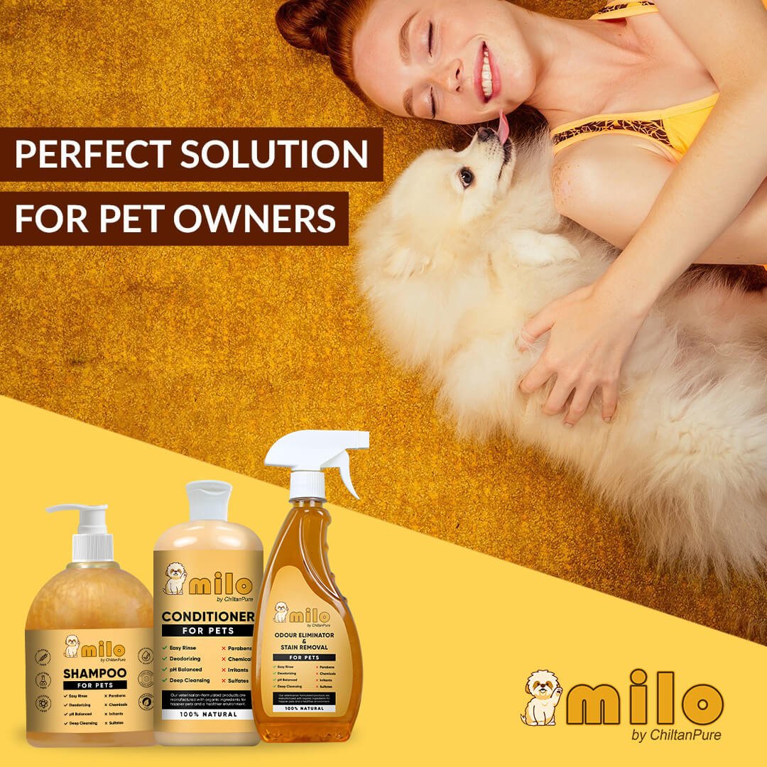 Milo Pet Care Kit – Pet Conditioner, Pet Shampoo, Pet Odour Eliminator & Stain Removal - Image 6