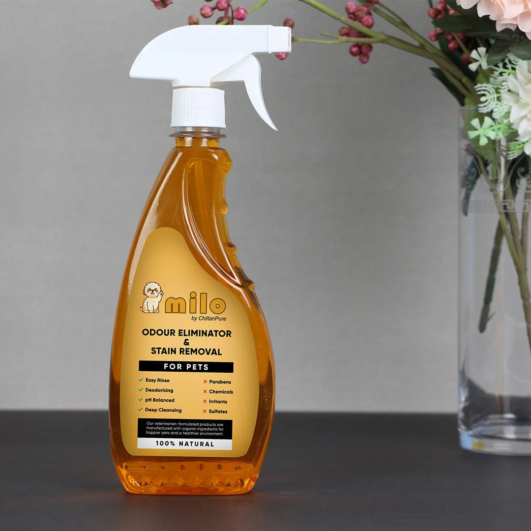 Milo Pet Odour Eliminator & Stain Removal – Natural Bio-Enzymatic Formula, Eliminate Pet’s Bad Odour & Remove Tough Stains 500ml - Image 2