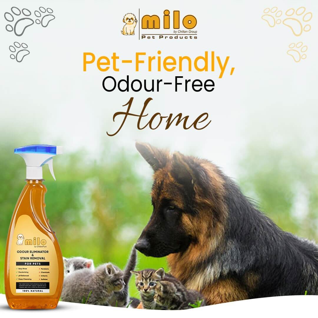 Milo Pet Odour Eliminator & Stain Removal – Natural Bio-Enzymatic Formula, Eliminate Pet’s Bad Odour & Remove Tough Stains 500ml - Image 4