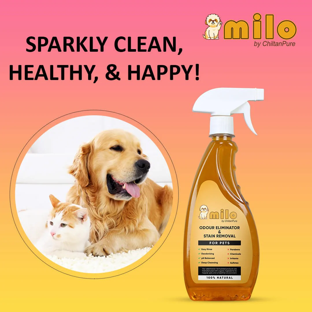 Milo Pet Odour Eliminator & Stain Removal – Natural Bio-Enzymatic Formula, Eliminate Pet’s Bad Odour & Remove Tough Stains 500ml - Image 6
