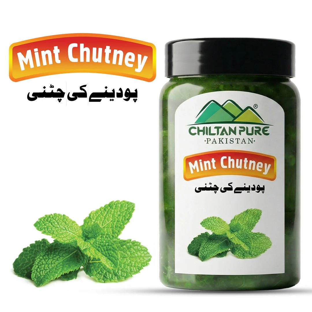 Mint Chutney (پودینے کی چٹنی) - Freshness in Every Spoonful