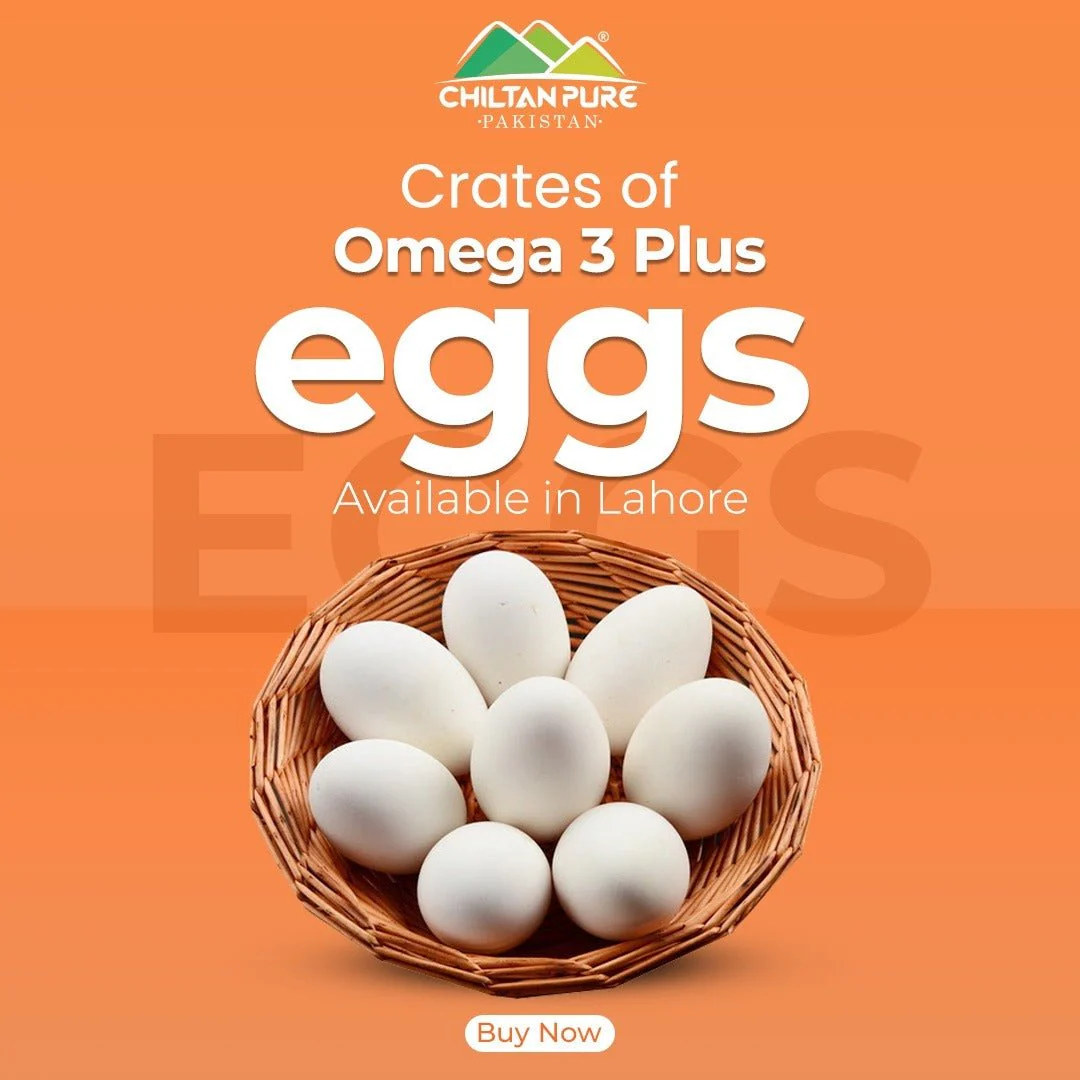 Omega 3 Plus Eggs / 1 Dozen (12eggs) - Image 2