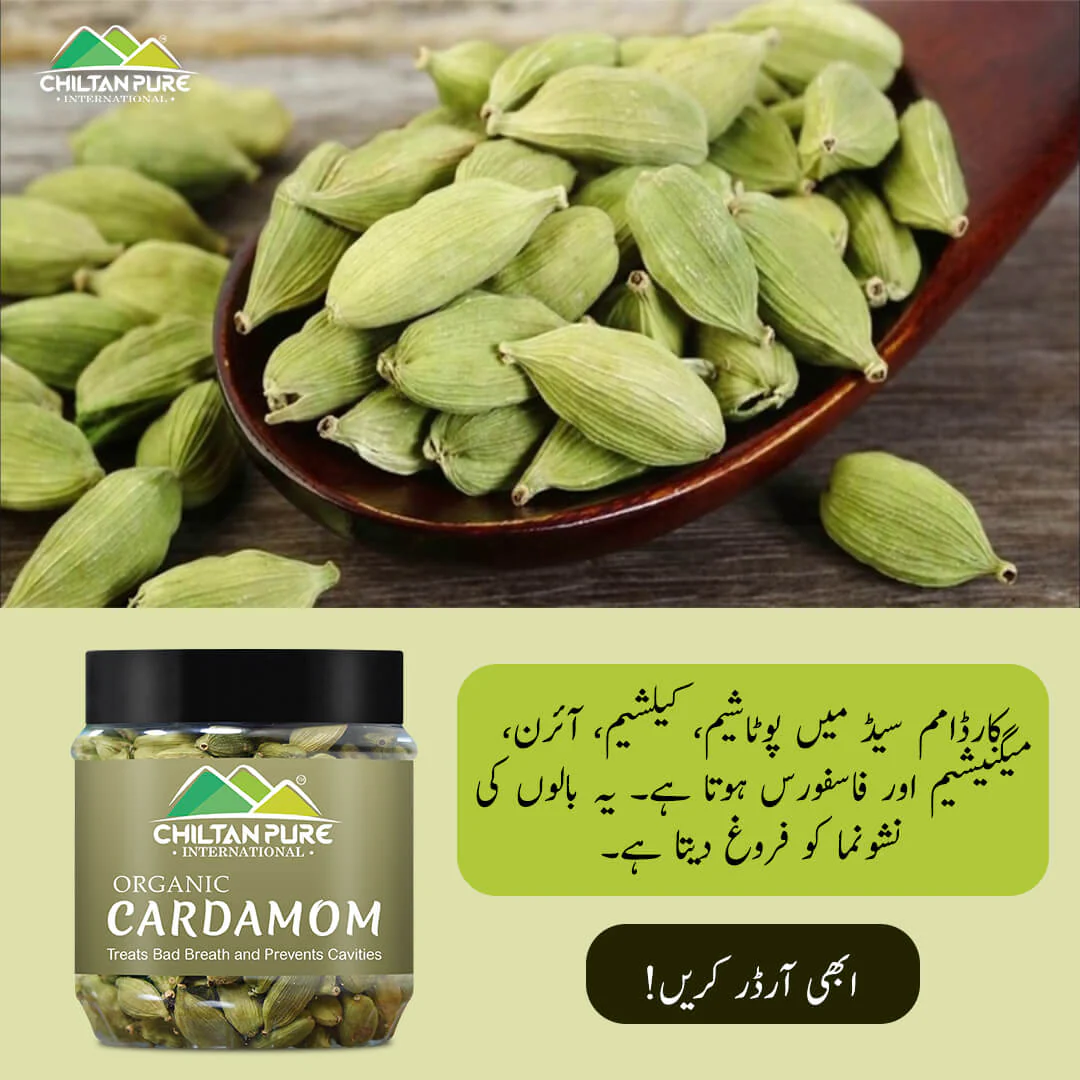 Organic Cardamom Seeds – Helps with digestive problem, lower blood sugar levels, treats bad breath – 100% pure organic - Image 2
