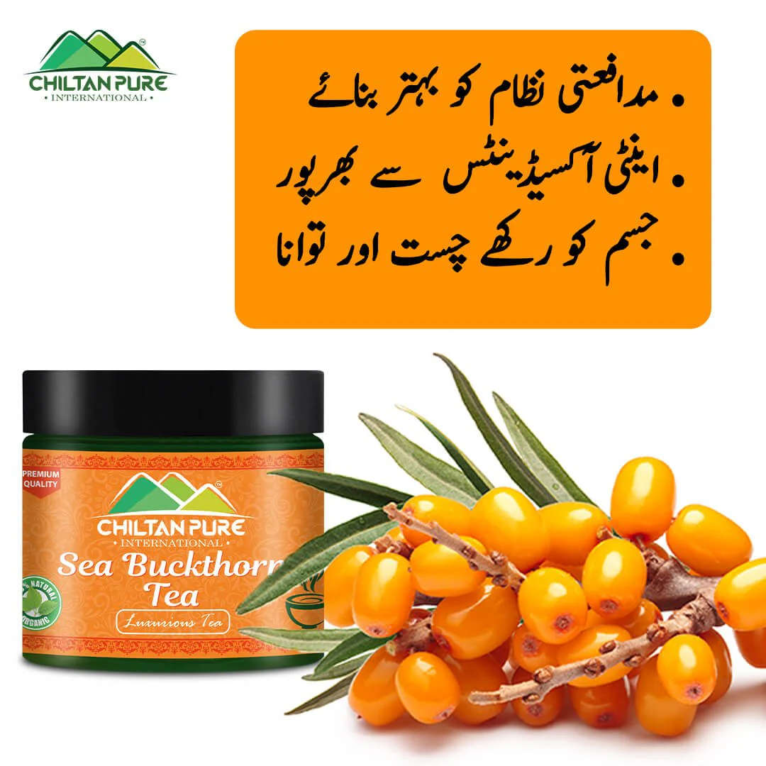 Sea Buckthorn Tea - Luxurious Tea - Image 2