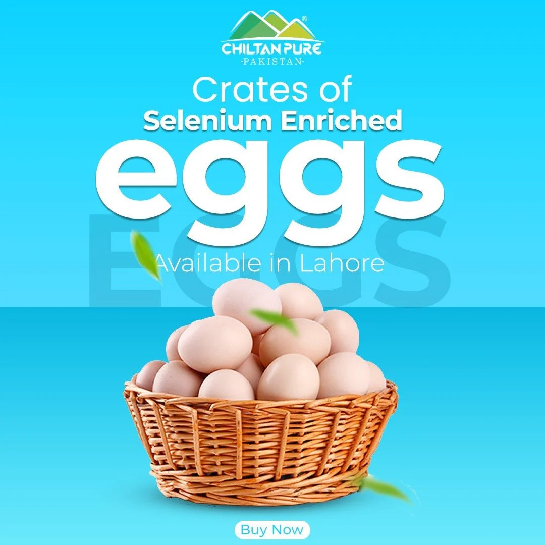 Selenium Enriched Eggs / 1 Dezon (12eggs) - Image 2