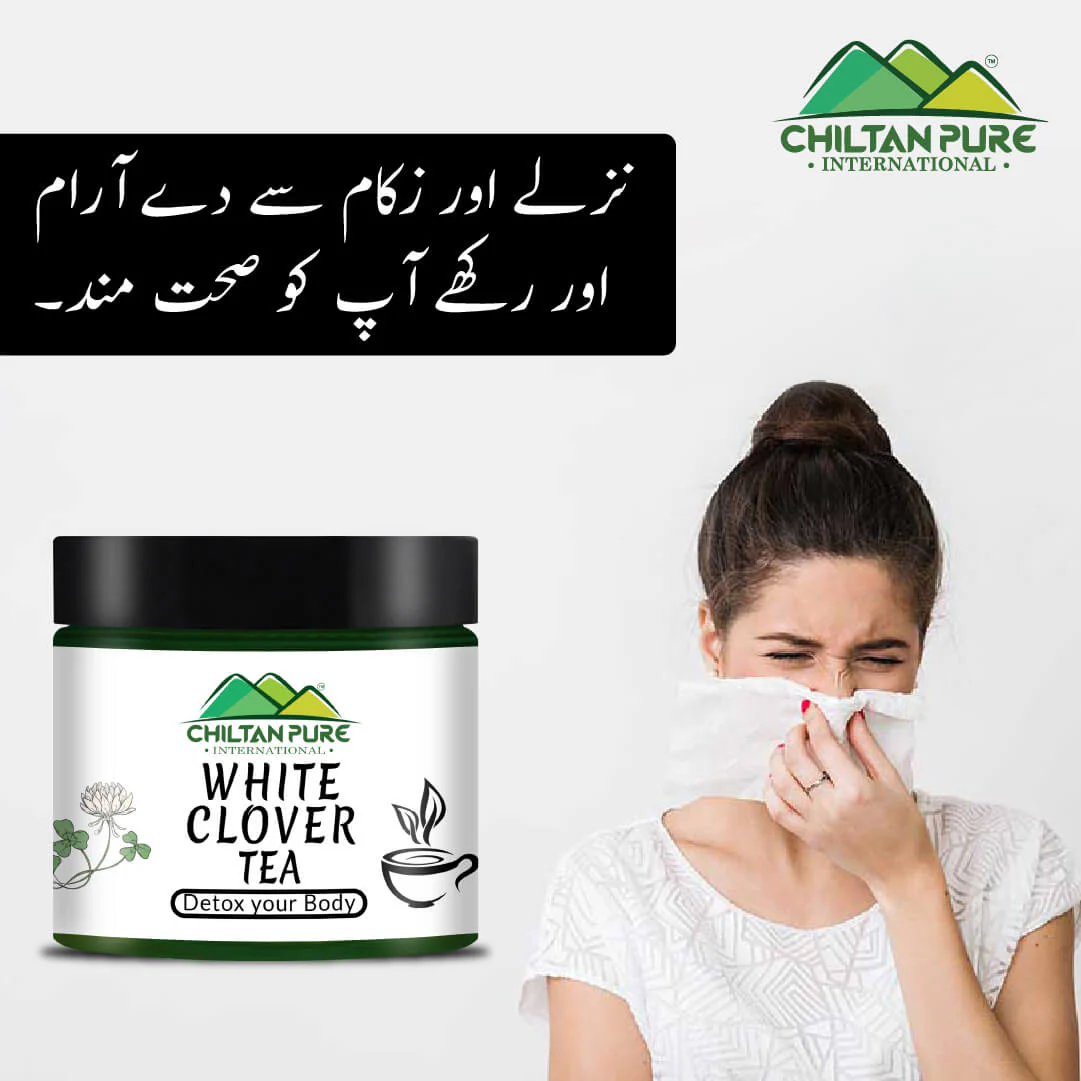 White Clover Tea - Heal Wounds, Cure Minor Eyes Infection, Treat Fever, Aches &amp; Dizziness - Image 2
