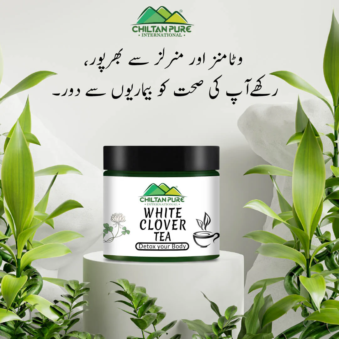 White Clover Tea - Heal Wounds, Cure Minor Eyes Infection, Treat Fever, Aches &amp; Dizziness - Image 3